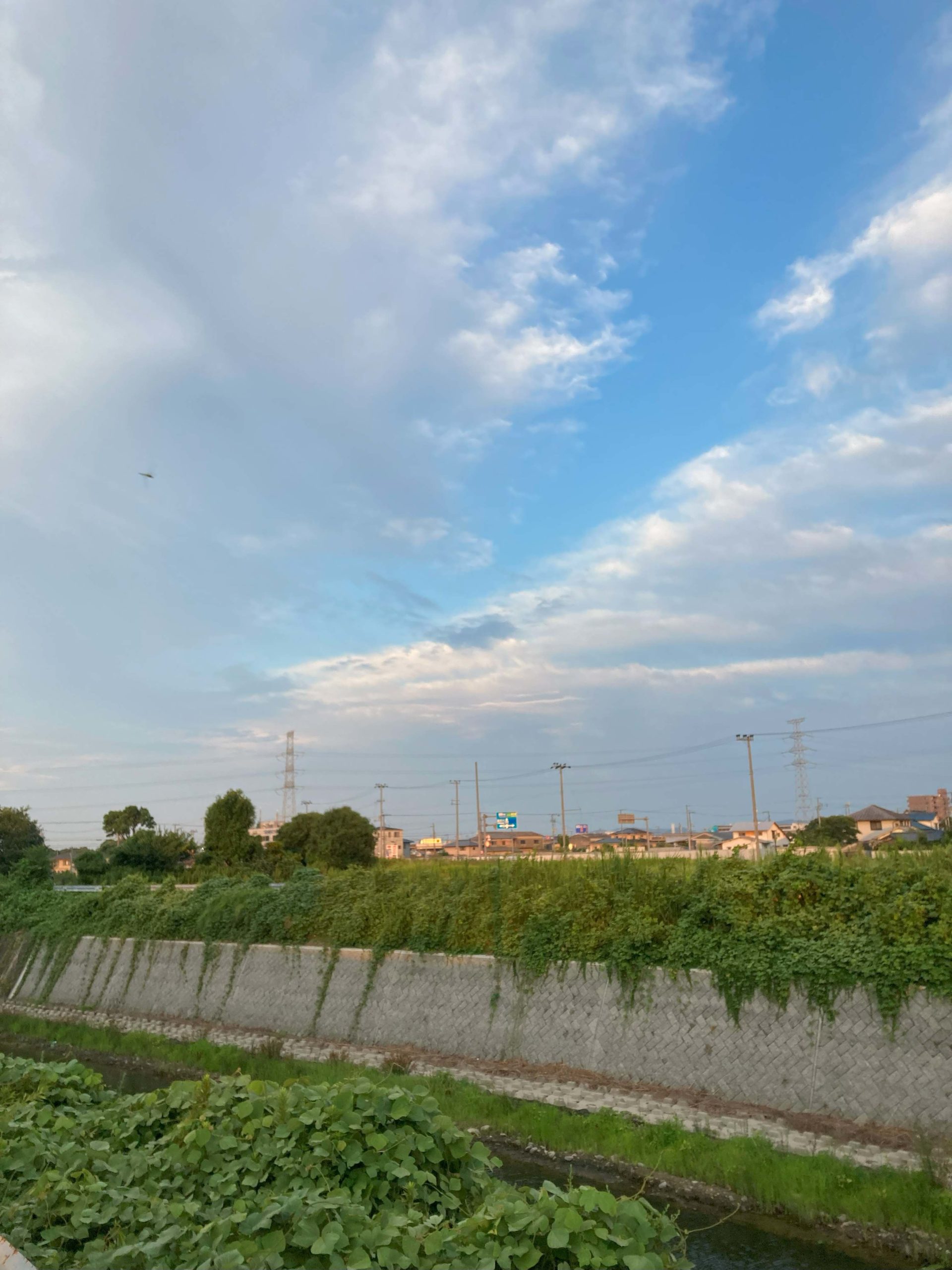 葛の散歩道　44/ 　涼風を待って4 　やっと一息。