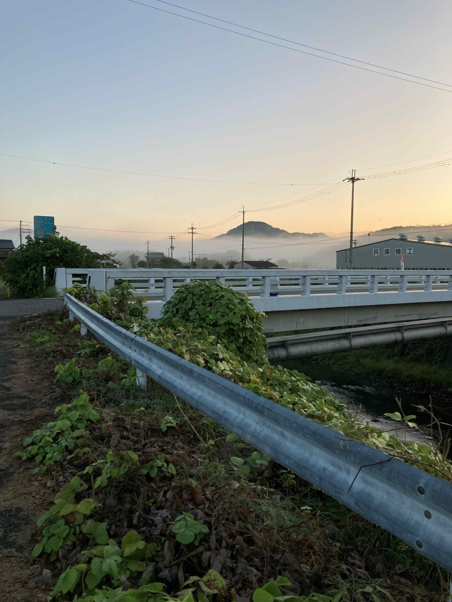 葛の散歩道　54/ 　北風がやってきた？