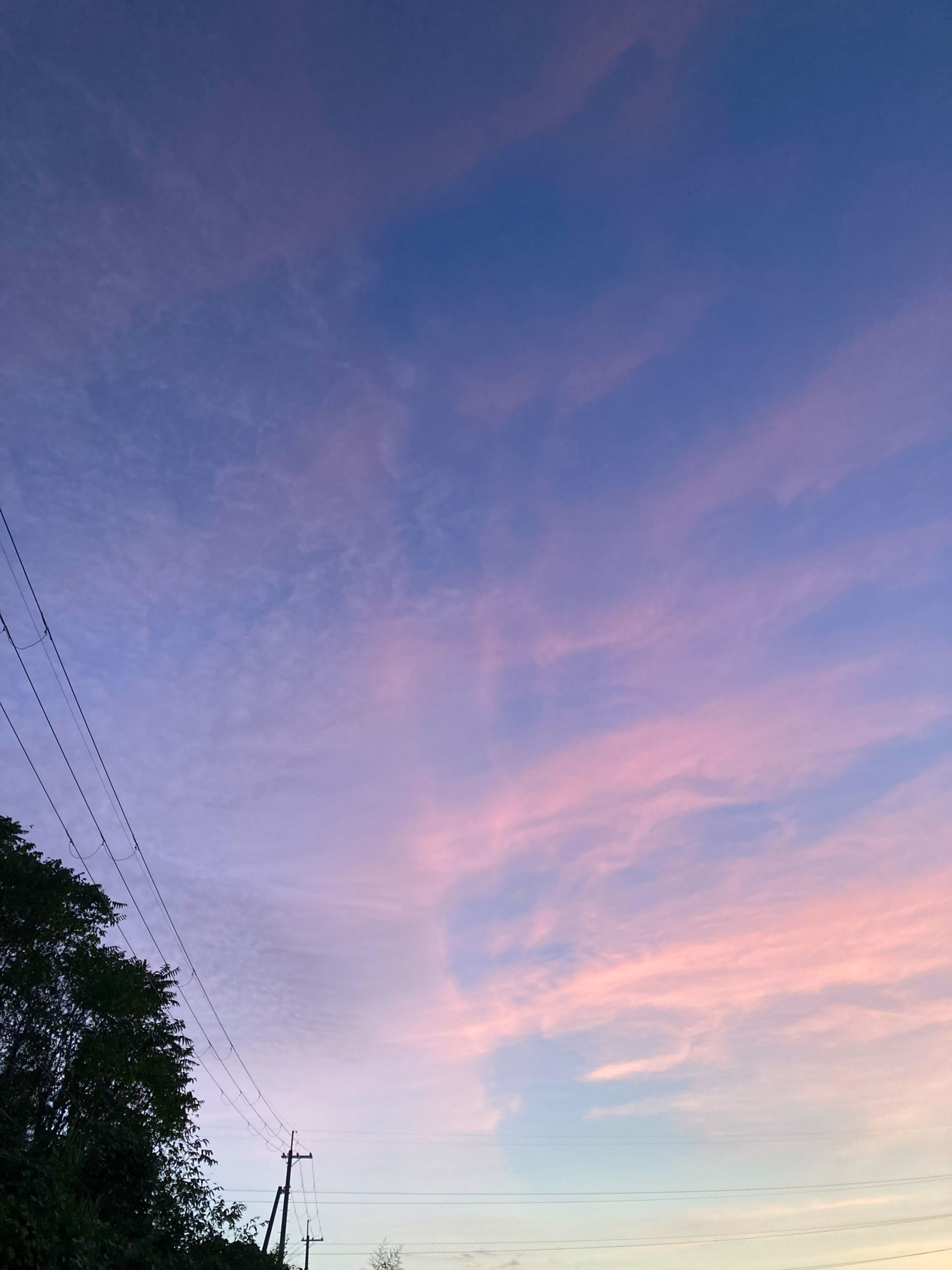 葛の散歩道　53/ 　涼風を味わって2