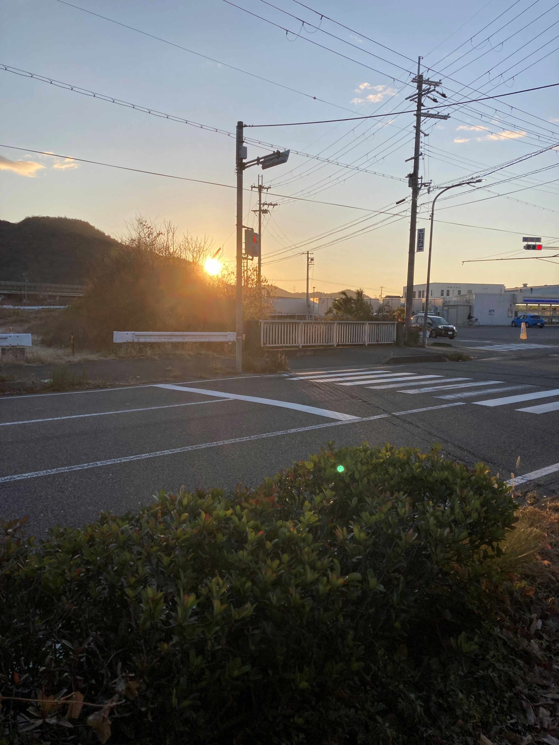 葛の散歩道　61/ 　2026年　明けましておめでとうございます
