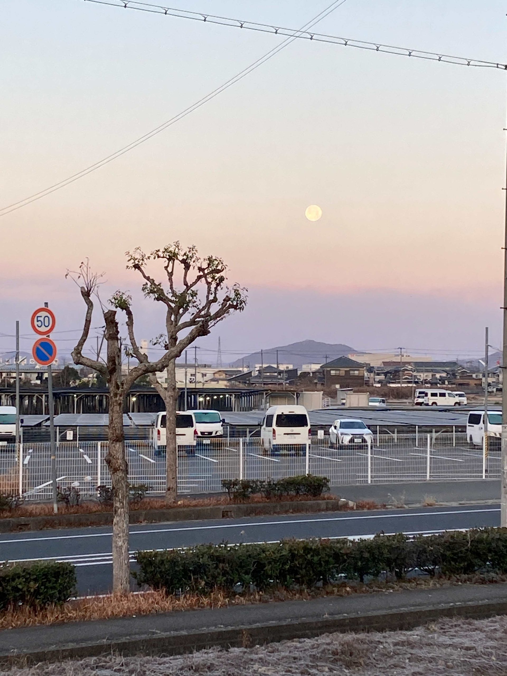 葛の散歩道　62/ 　びっくりな出会い（八日ぶりの再会）5