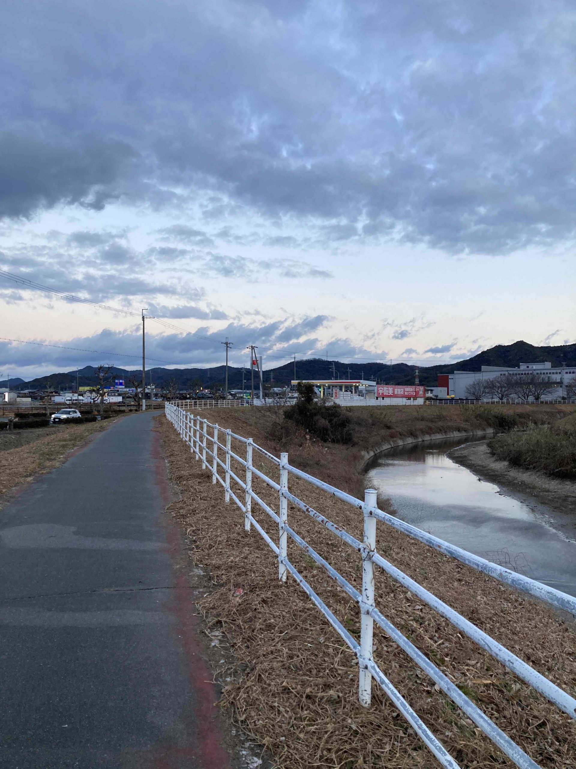 葛の散歩道　63/ 　穏やかな成人の日