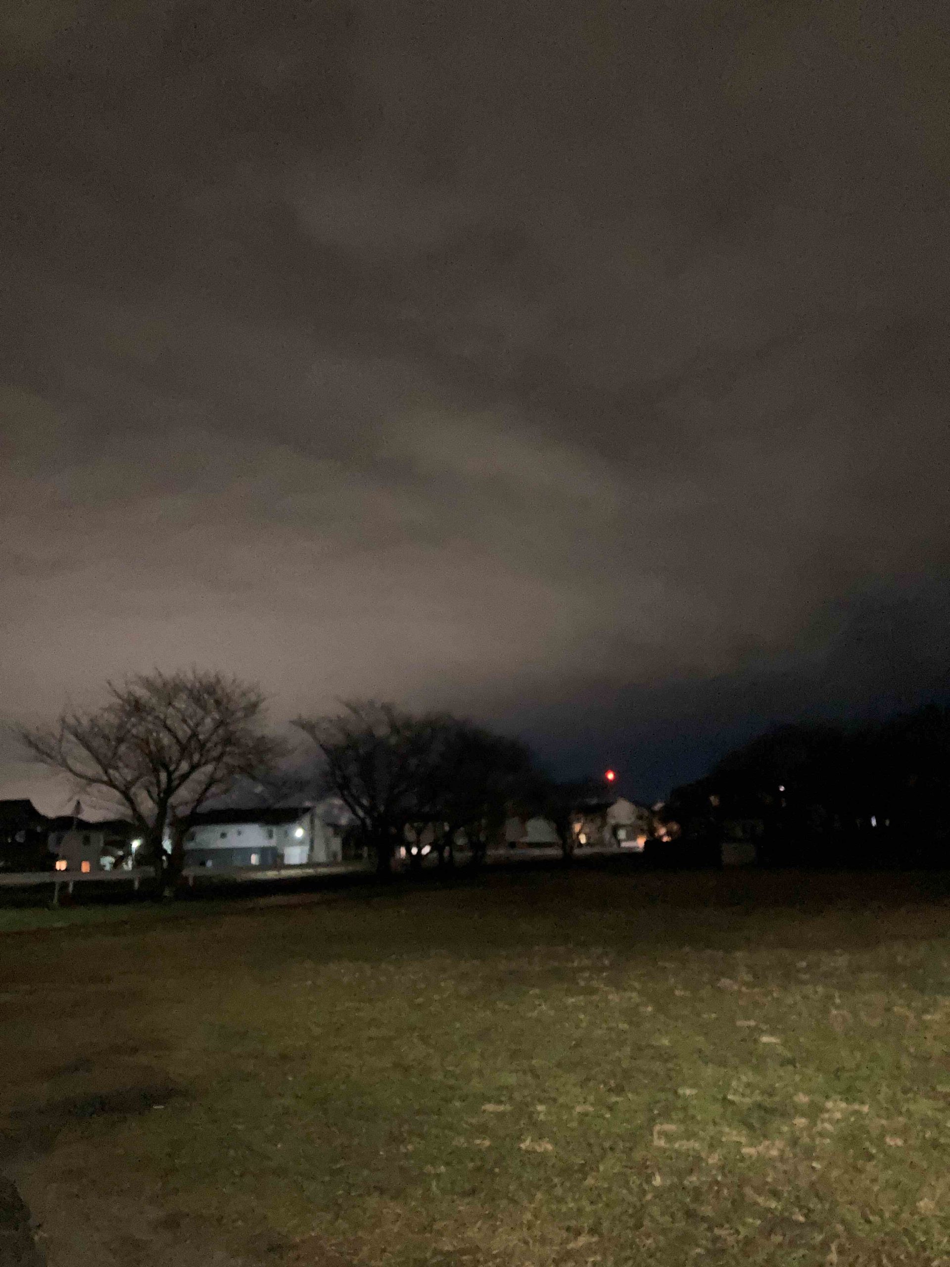 葛の散歩道　66/ 　水ぬるむダわ？